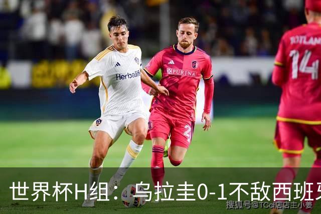 世界杯H组：乌拉圭0-1不敌西班牙 佛得角0-0战平沙特阿拉伯